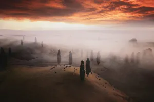 Quiet Gallery: Aerial view of the rolling hills near Matamata at sunrise