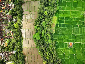 Environment Prints: Aerial view of a rural village and rice fields surrounded by a tropical forest, Indonesia