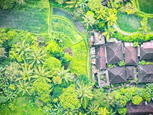 Environment Prints: Aerial view of a rural village and terraced fields surrounded by a tropical forest
