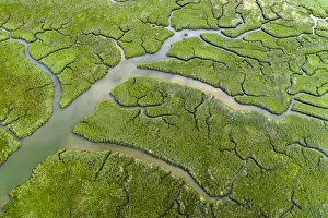 Images Dated 19th November 2020: Aerial view of salt marshes on the Camel Estuary, Wadebridge, Cornwall