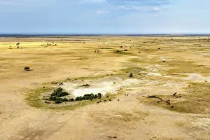 Kalahari Prints: Aerial view of Salt Pans and Wildebeest, Makgadikgadi Salt Pans, Botswana