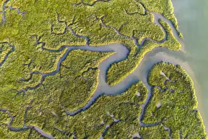 Earth From Above Prints: Aerial view of saltmarshes on the Camel Estuary near Wadebridge, Cornwall, England