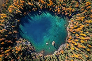 Canton Prints: Aerial view of the Saoseo Lake in autumn. Poschiavo Valley, Graubunden, Switzerland