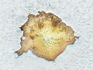 Atacama Prints: Aerial view of a small lagoon (Ojo del Salar) in the Salinas Grandes Salt Flat