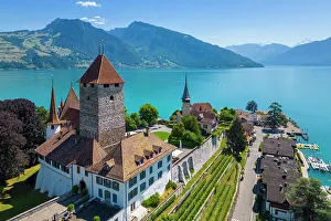 Thun Prints: Aerial view of Spiez Castle on shores of lake Thun in summer