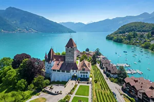 Vine Prints: Aerial view of Spiez Castle on shores of lake Thun in summer