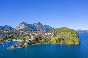 Images Dated 27th November 2019: Aerial view on Spiez and Lake Thun, Berner Oberland, Switzerland