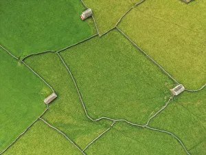 Yorkshire Prints: Aerial View of Stone Barns & Walls, Gunnerside, Yorkshire Dales National Park, England