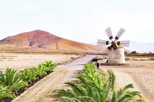 Wind Turbine Prints: Aerial view of a stone mill surrounded by palm trees