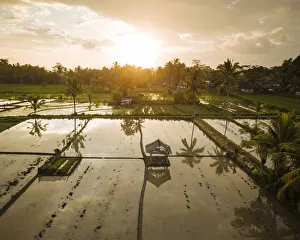 Aerial View of Sunset over Rice Fields near Sidemen, Bali, Indonesia