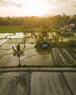 Images Dated 21st June 2019: Aerial View of Sunset over Rice Fields near Sidemen, Bali, Indonesia