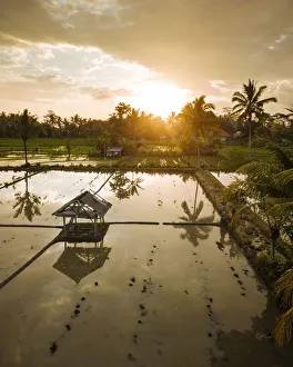Aerial View of Sunset over Rice Fields near Sidemen, Bali, Indonesia
