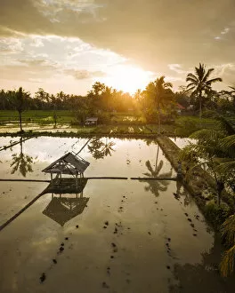 Images Dated 21st June 2019: Aerial View of Sunset over Rice Fields near Sidemen, Bali, Indonesia