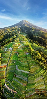 Volcano Prints: Aerial view of terraced fields at feet of Mount Sumbing