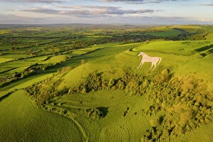 Images Dated 12th June 2023: Aerial view of Westbury White Horse and Bratton Camp, Westbury, Wiltshire, England
