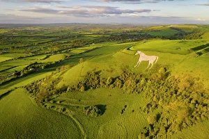 Images Dated 12th June 2023: Aerial view of Westbury White Horse and Bratton Camp, Westbury, Wiltshire, England