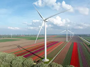 Turbines Prints: An aerial view of wind turbines & tulip fields, North Holland, Netherlands