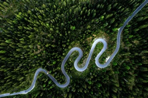 Images Dated 31st October 2022: Aerial view of winding mountain road through a forest in spring, Giau Pass, Dolomites, Veneto, Italy