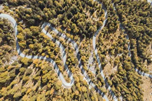 Val Masino Prints: Aerial view of a winding road in autumn. Val Masino, Sondrio province, Lombardy, Italy