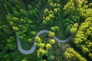Curve Prints: Aerial view of the winding road leading to Fort Mutin in Fenestrelle