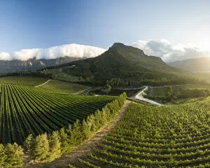 South Africa Gallery: Aerial view of wine vineyards near Franschhoek, Western Cape, South Africa
