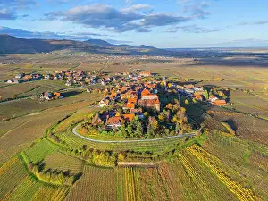 Grand Est Prints: Aerial view at Zellenberg, Alsace, Alsace Wine Road, Haut-Rhin, Grand Est, France