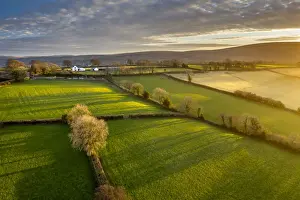 Aerial vista of Dartmoor countryside in rich evening sunlight, Livaton, Devon, England