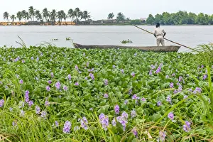 Africa, Benin, Grand Popo. Man with his canoe crossing the lagoon