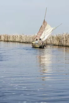 Africa, Benin, Lac Nokoue. Sailing in the lagoon