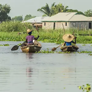 Africa, Benin, Lake Nokoua. In the famous stilt village of Ganvie