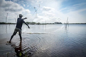Images Dated 28th September 2016: Africa, Benin, Ouidah. A fisherman casting his net in the lagoon
