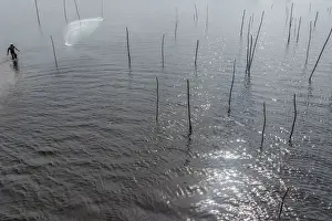 Africa, Benin, Ouidah. A fisherman casting his net in the lagoon