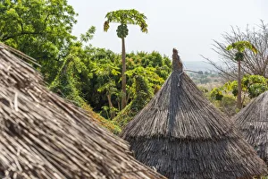 Africa, Benin, Taneka villages. The traditional hut roofs made of plants