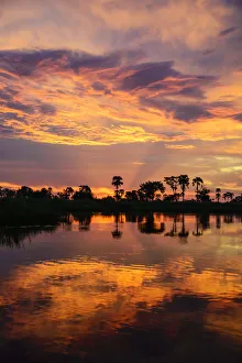 Okavango Prints: Africa, Botswana, Okavango delta. Sunset at the delta