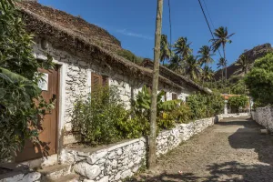 Banana Prints: africa, Cape Verde, Santiago. Banana Road in Cidade Velha
