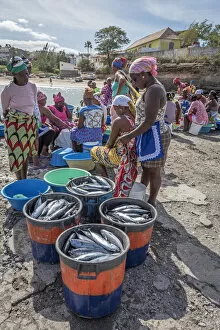 africa, Cape Verde, Santiago. Market-women buying fresh fish in Tarrafal