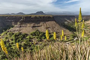 africa, Cape Verde, Santiago. View from the fortress of Cidade Velha