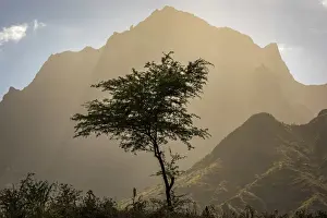 africa, Cape Verde, Santiago. View of the Pico da Antonia