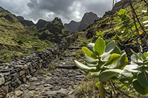 africa, Cape Verde, Santo Antao. The coastal path to cruzinha da garca