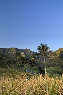 Images Dated 27th May 2010: Africa, Cape Verde, Santo Antao, Ribeira da Janela (Janela Valley), Sugar Cane Farm