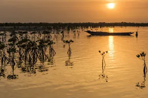 Africa, Guinea Bissau. Sunset over a wetland