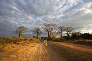 Africa, Malawi, Balaka district