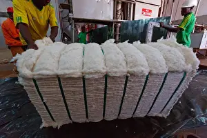 Africa, Malawi, Balaka district. Cotton processing