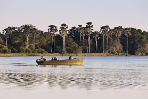 Malawi Prints: Africa, Malawi, Liwonde district, Wildlife safari in the National park of Liwonde