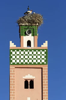 Africa, Morocco, bird nesting on top of AAA┬»t Benhaddou, UNESCO World Heritage site