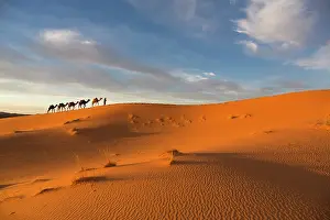 Berber Prints: Africa, Morocco, Sahara Desert