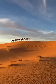 Berber Prints: Africa, Morocco, Sahara Desert