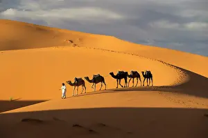 Berber Prints: Africa, Morocco, Sahara Desert