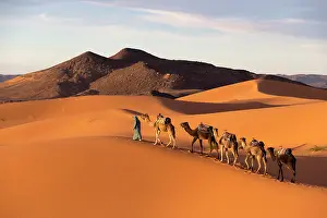 Berber Prints: Africa, Morocco, Sahara Desert