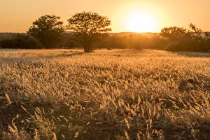 Images Dated 16th August 2018: Africa, Namibia, Damara Land. Sunset